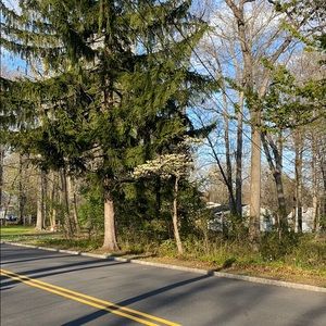 Meet your Posher, Liliana